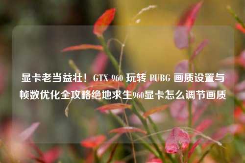 显卡老当益壮！GTX 960 玩转 PUBG 画质设置与帧数优化全攻略绝地求生960显卡怎么调节画质