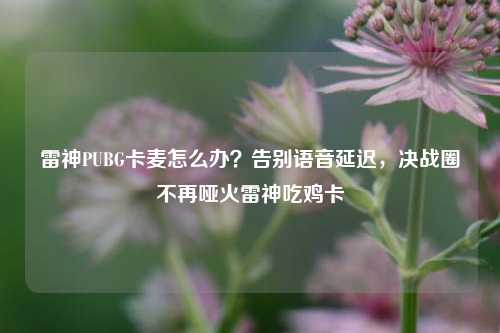 雷神PUBG卡麦怎么办？告别语音延迟，决战圈不再哑火雷神吃鸡卡