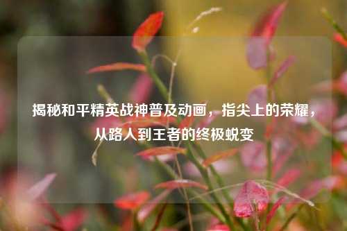 揭秘和平精英战神普及动画，指尖上的荣耀，从路人到王者的终极蜕变