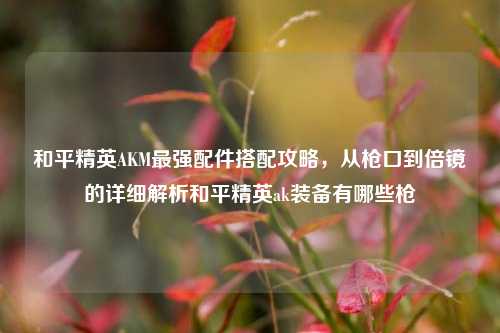 和平精英AKM最强配件搭配攻略，从枪口到倍镜的详细解析和平精英ak装备有哪些枪