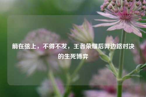 箭在弦上，不得不发，王者荣耀后羿边路对决的生死博弈