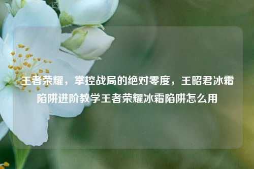 王者荣耀，掌控战局的绝对零度，王昭君冰霜陷阱进阶教学王者荣耀冰霜陷阱怎么用