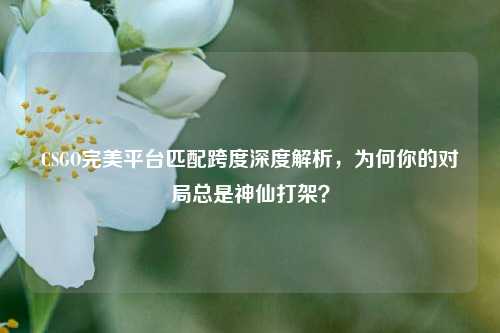 CSGO完美平台匹配跨度深度解析，为何你的对局总是神仙打架？