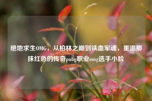 绝地求生OMG，从柏林之巅到铁血军魂，重温那抹红色的传奇pubg职业omg选手小脸
