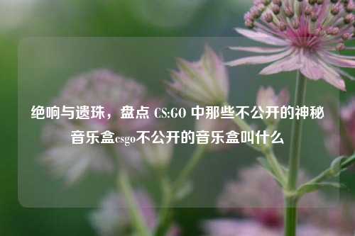 绝响与遗珠，盘点 CS:GO 中那些不公开的神秘音乐盒csgo不公开的音乐盒叫什么