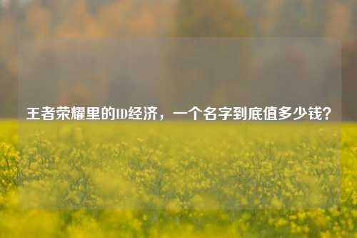 王者荣耀里的ID经济,一个名字到底值多少钱?