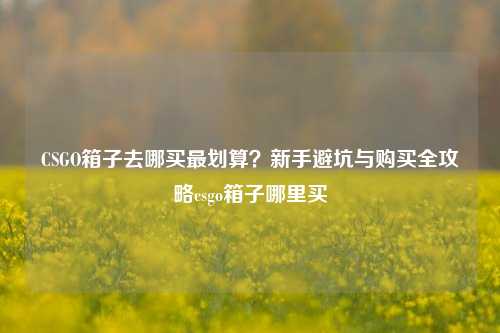 CSGO箱子去哪买最划算？新手避坑与购买全攻略csgo箱子哪里买