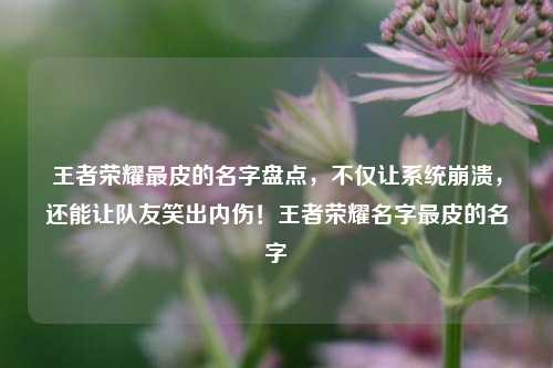 王者荣耀最皮的名字盘点，不仅让系统崩溃，还能让队友笑出内伤！王者荣耀名字最皮的名字
