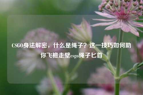 CSGO身法解密，什么是绳子？这一技巧如何助你飞檐走壁csgo绳子匕首