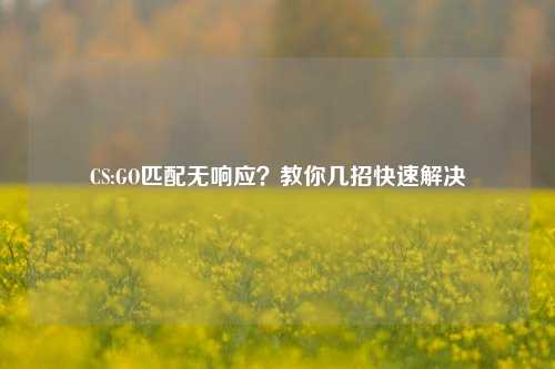 CS:GO匹配无响应？教你几招快速解决