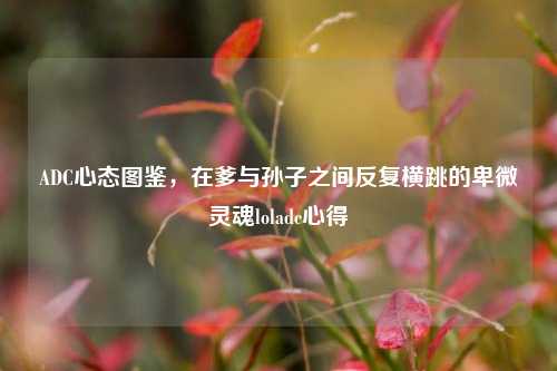 ADC心态图鉴，在爹与孙子之间反复横跳的卑微灵魂loladc心得