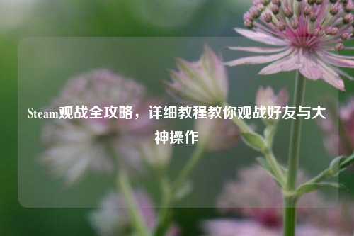 Steam观战全攻略，详细教程教你观战好友与大神操作