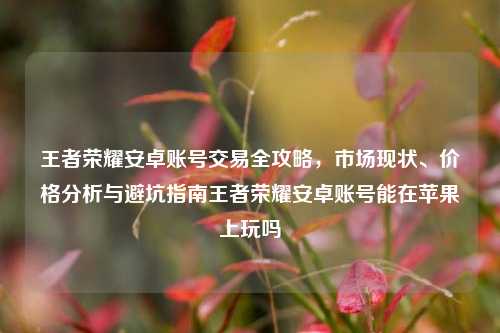 王者荣耀安卓账号交易全攻略，市场现状、价格分析与避坑指南王者荣耀安卓账号能在苹果上玩吗