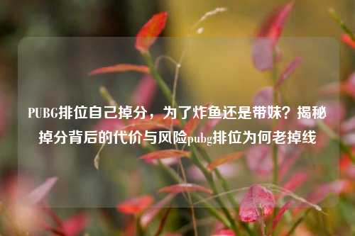 PUBG排位自己掉分，为了炸鱼还是带妹？揭秘掉分背后的代价与风险pubg排位为何老掉线