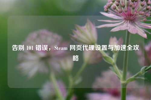 告别 101 错误，Steam 网页代理设置与加速全攻略