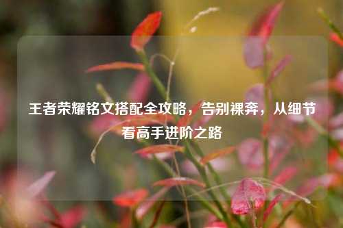 王者荣耀铭文搭配全攻略，告别裸奔，从细节看高手进阶之路