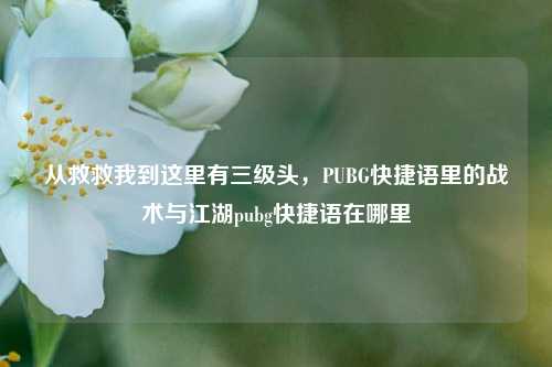 从救救我到这里有三级头，PUBG快捷语里的战术与江湖pubg快捷语在哪里