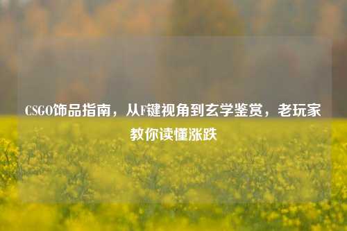 CSGO饰品指南，从F键视角到玄学鉴赏，老玩家教你读懂涨跌