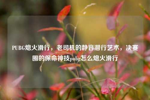 PUBG熄火滑行，老司机的静音潜行艺术，决赛圈的保命神技pubg怎么熄火滑行