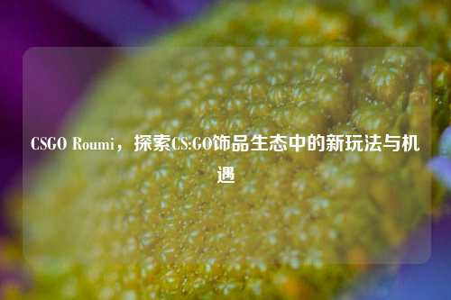 CSGO Roumi，探索CS:GO饰品生态中的新玩法与机遇