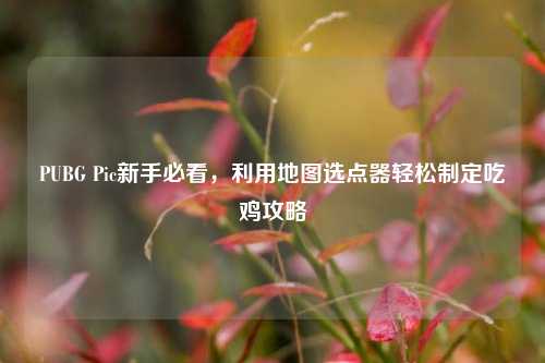 PUBG Pic新手必看，利用地图选点器轻松制定吃鸡攻略