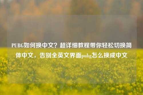 PUBG如何换中文？超详细教程带你轻松切换简体中文，告别全英文界面pubg怎么换成中文