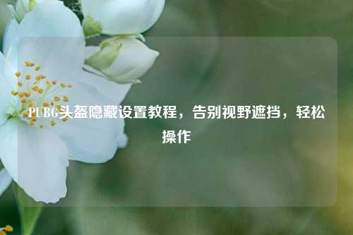 PUBG头盔隐藏设置教程，告别视野遮挡，轻松操作