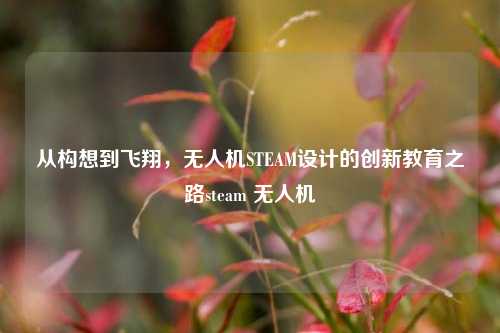 从构想到飞翔，无人机STEAM设计的创新教育之路steam 无人机