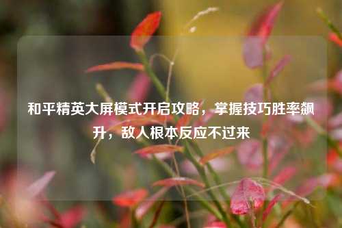 和平精英大屏模式开启攻略，掌握技巧胜率飙升，敌人根本反应不过来