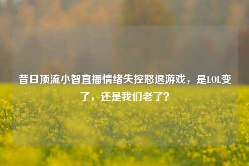 昔日顶流小智直播情绪失控怒退游戏，是LOL变了，还是我们老了？