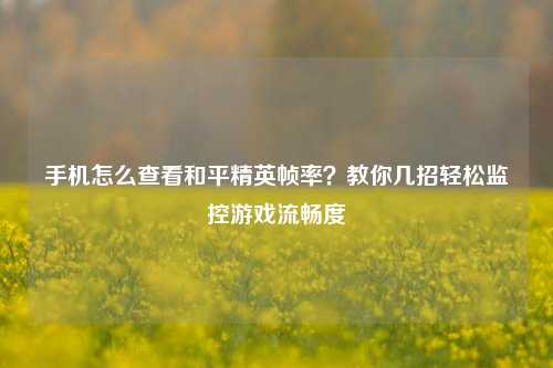 手机怎么查看和平精英帧率？教你几招轻松监控游戏流畅度