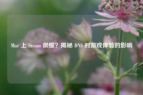 Mac 上 Steam 很慢？揭秘 DNS 对游戏体验的影响