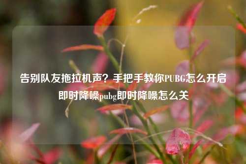 告别队友拖拉机声？手把手教你PUBG怎么开启即时降噪pubg即时降噪怎么关