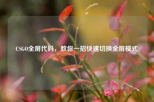 CSGO全屏代码，教你一招快速切换全屏模式