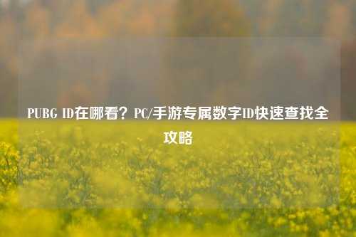 PUBG ID在哪看？PC/手游专属数字ID快速查找全攻略