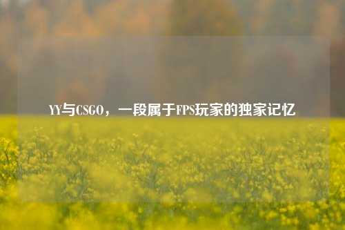 YY与CSGO，一段属于FPS玩家的独家记忆