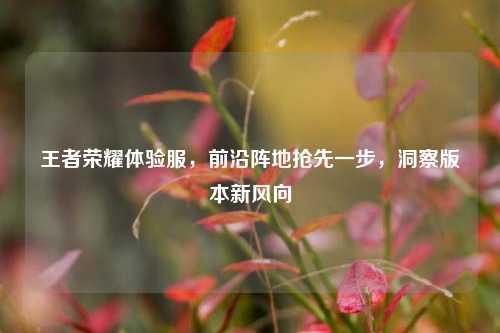 王者荣耀体验服，前沿阵地抢先一步，洞察版本新风向