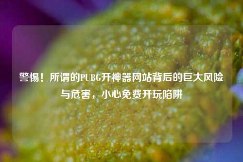 警惕！所谓的PUBG开神器网站背后的巨大风险与危害，小心免费开玩陷阱
