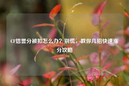 CF信誉分被扣怎么办？别慌，教你几招快速涨分攻略