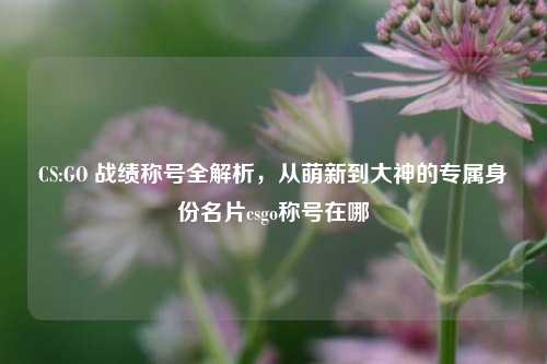 CS:GO 战绩称号全解析，从萌新到大神的专属身份名片csgo称号在哪
