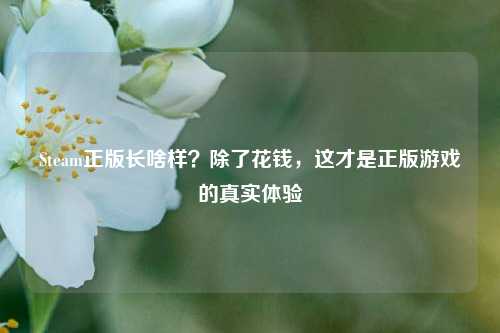 Steam正版长啥样？除了花钱，这才是正版游戏的真实体验