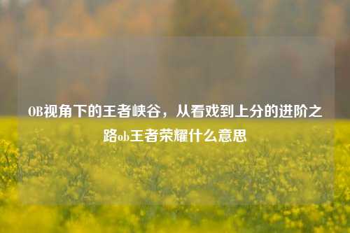 OB视角下的王者峡谷，从看戏到上分的进阶之路ob王者荣耀什么意思