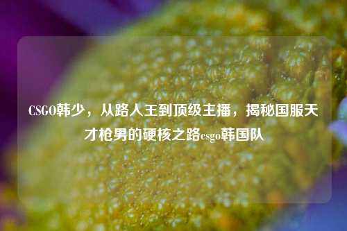 CSGO韩少，从路人王到顶级主播，揭秘国服天才枪男的硬核之路csgo韩国队