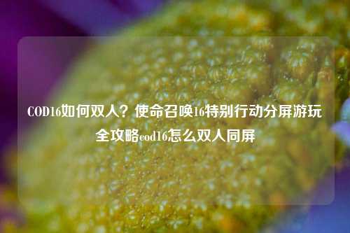 COD16如何双人？使命召唤16特别行动分屏游玩全攻略cod16怎么双人同屏