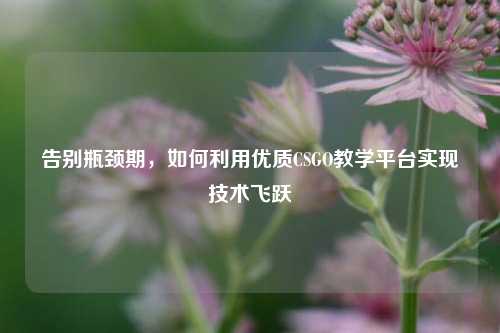 告别瓶颈期，如何利用优质CSGO教学平台实现技术飞跃