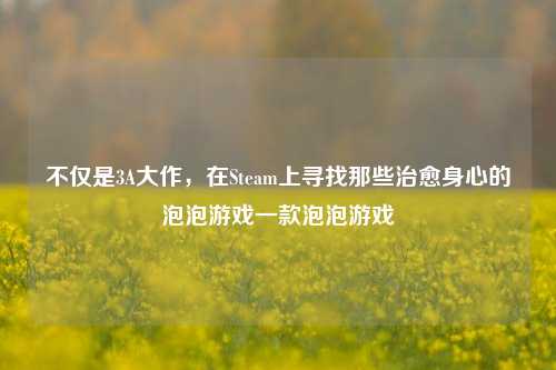 不仅是3A大作，在Steam上寻找那些治愈身心的泡泡游戏一款泡泡游戏