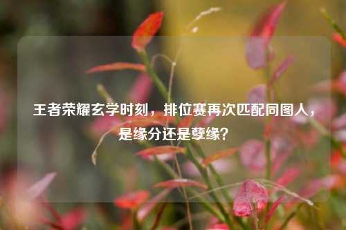 王者荣耀玄学时刻，排位赛再次匹配同图人，是缘分还是孽缘？