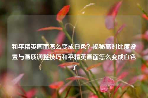 和平精英画面怎么变成白色？揭秘高对比度设置与画质调整技巧和平精英画面怎么变成白色了