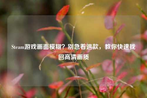 Steam游戏画面模糊？别急着退款，教你快速找回高清画质