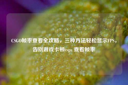 CSGO帧率查看全攻略，三种方法轻松显示FPS，告别游戏卡顿csgo 查看帧率